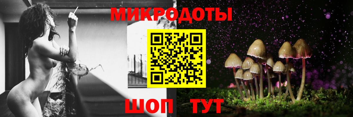 Псилоцибиновые грибы Psilocybe  Вход с VPN  Заволжье 